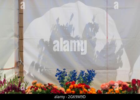 London, UK. 4th July, 2021. The Festival of Roses tent - Final preparations for the 2021 Hampton Court Flower Show. The show was cancelled last year due to the coronavirus lockdowns. Credit: Guy Bell/Alamy Live News Stock Photo