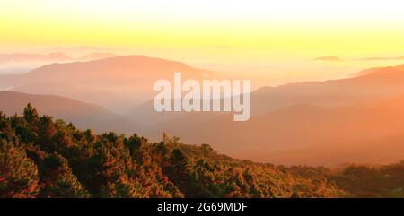 Scenery mountain range at sunrise, warm early light shines on gentle mist covers mountains and pine forest. Focus on pine forest in the mist. Stock Photo