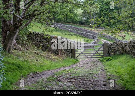 Old wooden farm gate leading down a track with drystone walls and trees