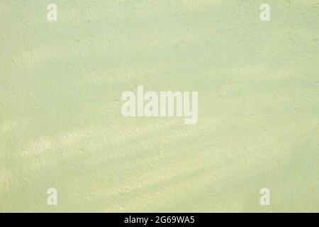 Green painted wall background or texture Stock Photo