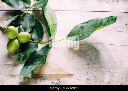 Branches and leaves of walnut on a wooden background. Copy space Stock Photo