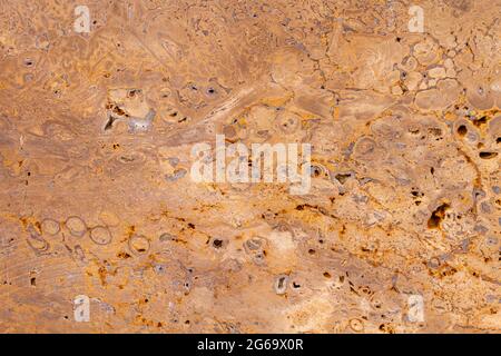 Colored concrete wall texture detail Stock Photo