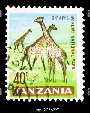 MOSCOW, RUSSIA - APRIL 18, 2020: Postage stamp printed in Tanzania shows Giraffe (Giraffa camelopardalis) in Mikumi National Park, Country Motifs seri Stock Photo