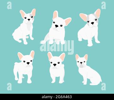 Vector illustrations set of cute little white French bulldog. Happy and funny pictures of bulldog puppy in different positions and emotions in cartoon Stock Vector