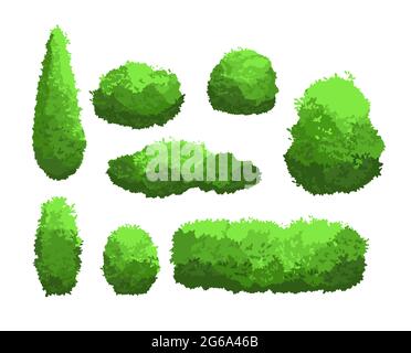 Vector illustration set of garden green bushes and decorative trees. Shrub and bush collection in cartoon style isolated on white background. Stock Vector