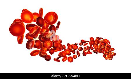 Group of red blood cells isolated on white. Blood cells (erythrocytes) carry oxygen to all body tissues. Stock Photo