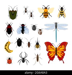Vector illustration set of different types of insects in flat style design icons. Bee, fly and dragonflies, spiders and ticks, mosquitoes and others Stock Vector
