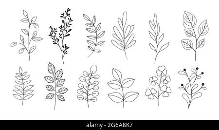 Vector illustration set of branches, leaves, twigs, garden grasses in line style for floral patterns, bouquets and compositions in white background Stock Vector