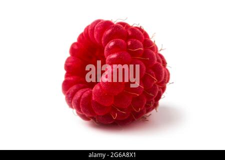 Ripe raspberry close up isolated on white background Stock Photo