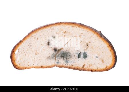 Moldy bread isolated on white background! Stock Photo