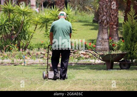 Gardener mowing the grass with lawn mower in park with palm trees. Tropical park improvement in sunny day Stock Photo