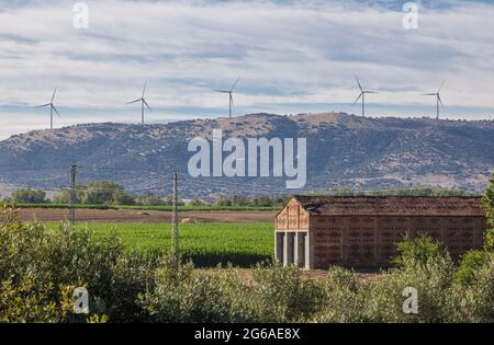 Tobacco drying house with Electric wind turbines at bottom. Carcaboso countryside. Caceres, Extremadura, Spain Stock Photo