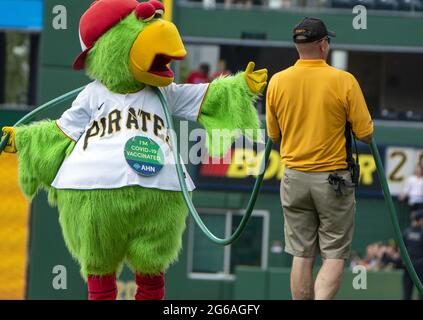 The mascot of the Pittsburgh Pirates, the Pirate Parrot, wears a Pride