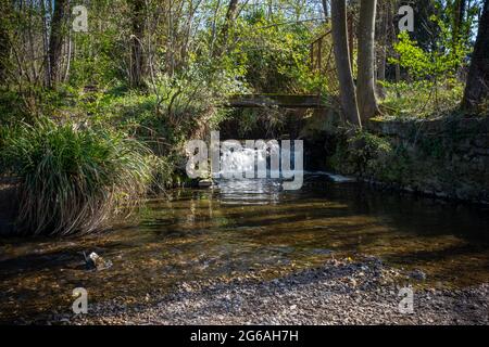 Small water fall in a forest setting, taken on a sunny spring day in Brunoy (near Paris), France Stock Photo