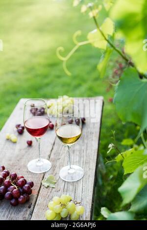 White and red wine glasses and grape on the wooden table in the vineyards, winery with green grass background. Wine tasting, Degustation. Vertical car Stock Photo