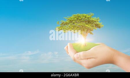 Hand holding green tree over blue sky background. ecology concept Stock Photo