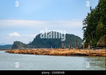 Goat island in the San Juan Islands, beautiful trees and coastline as a nature background Stock Photo