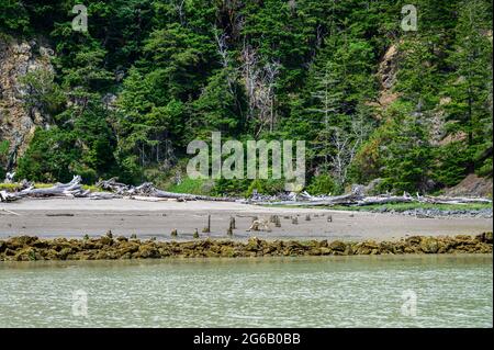 Goat island in the San Juan Islands, beautiful trees and coastline as a nature background Stock Photo