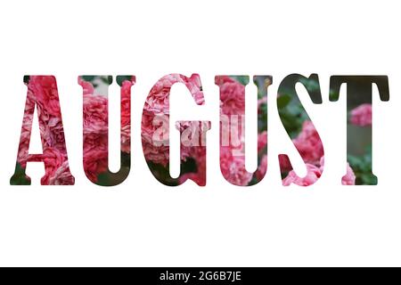 Word August made of leaves and pink flowers on white background, text Stock Photo