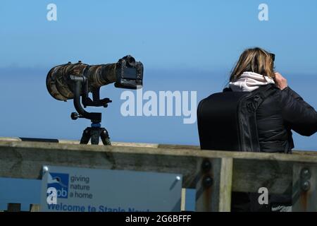 Natural history photographers in action. Stock Photo
