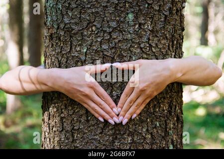 Hands making heart shape gesture on a trunk in summer forest. Stock Photo
