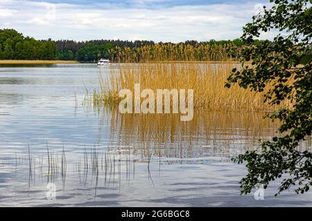 Augustow, Poland - June 1, 2021: Reeds and wooded shores of Netta river mouth to Necko lake in Masuria lake district resort town of Augustow Stock Photo
