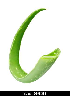Aloe vera plant with interesting curve isolated - Clipping path included Stock Photo