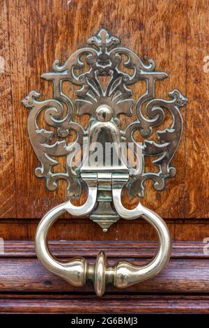 Ornate metal knocker affixed to a wooden door. Paris. Stock Photo