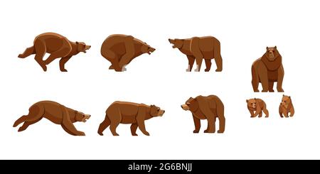 Bear in different poses. Flat vector style set of large bears on white background. Wild forest creature with brown fur. Cartoon character of big Stock Vector