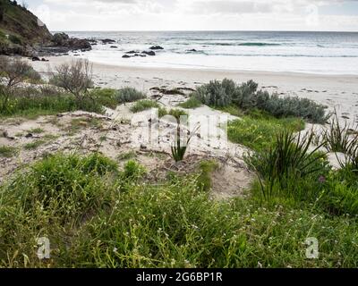 Snelling Beach Snelling Beach, Kangaroo Island, South Australia Stock Photo - Alamy