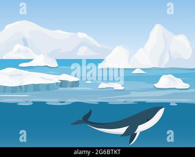 Vector illustration of beautiful arctic landscape of northern and Antarctic life. Icebergs in ocean and underwater world with whale in flat cartoon Stock Vector