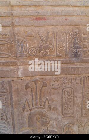 Beautiful Egyptian hieroglyphs and engravings on the walls of Kom Ombo Temple, Egypt Stock Photo