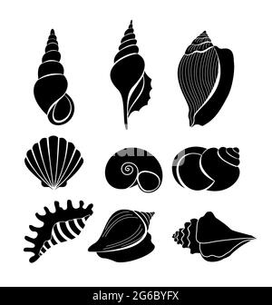 Vector illustration set of sea shells black silhouettes isolated on white background. Stock Vector