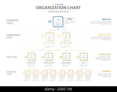 Infographic template for business. Modern Organization Chart with position, presentation vector infographic. Stock Vector