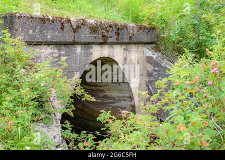 An old bridge or aqueduct overgrown by bushes. Only top part visible, rest obscured by vegetation. Stock Photo