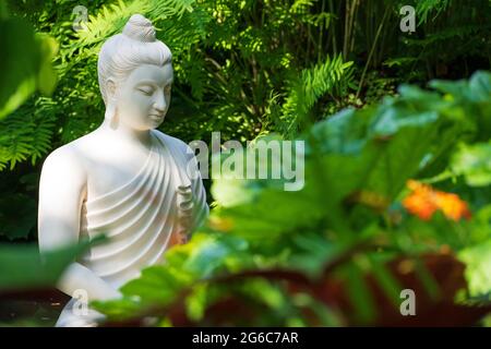 White buddha statue between plants in the botanical Heller gardens in Gardone Riviera at Lake Garda in Italy Stock Photo