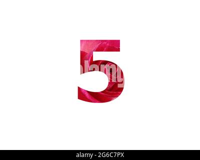 Number 5 of the alphabet made with a photo of a red rose, isolated on a white background Stock Photo