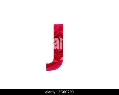 Letter J of the alphabet made with a photo of a red rose, isolated on a white background Stock Photo