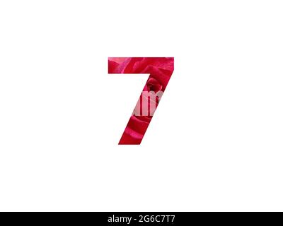 Number 7 of the alphabet made with a photo of a red rose, isolated on a white background Stock Photo