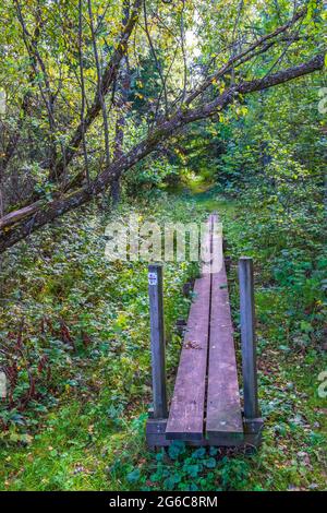 Wooden footbridge on a trail in the woodland Stock Photo