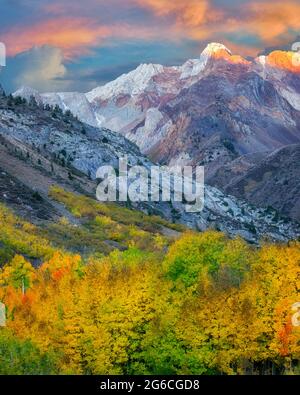 Mcgee Creek drainage with fall colored cottonwood and aspen trees. Eastern Sierra Nevada Mountains, California Stock Photo