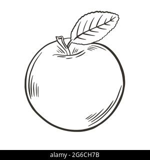 Premium Photo | A sketch of an apple with leaves on it.