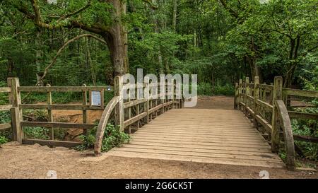 Pooh Sticks bridge were Pooh sticks originated located in the One Hundred Acre wood in Ashdown Forest near Hartfield. Stock Photo