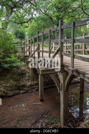 Pooh Sticks bridge were Pooh sticks originated located in the One Hundred Acre wood in Ashdown Forest near Hartfield. Stock Photo