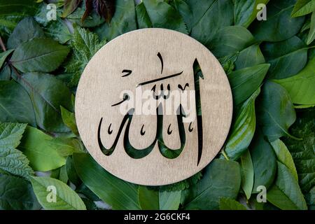 Name of Allah in arabic on gold wood, green leaves background. Calligraphy means the God Al Mighty of Islam Religion. Stock Photo