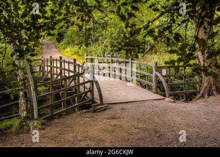 Pooh Sticks bridge were Pooh sticks originated located in the One Hundred Acre wood in Ashdown Forest near Hartfield. Stock Photo