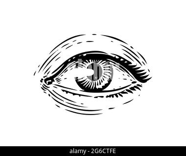 Human eye vintage sketch. Hand drawn illustration in engraving style Stock Vector