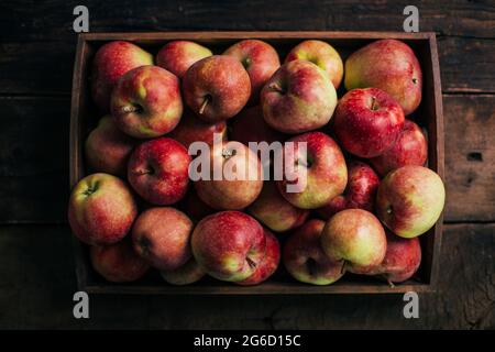 Fresh red apples on dark background Stock Photo