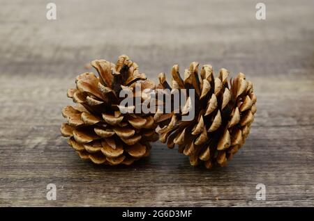 Natural two pinecones on rustic wooden Stock Photo