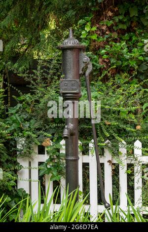 A vintage cast iron village hand water pump against trees and a picket fence Stock Photo